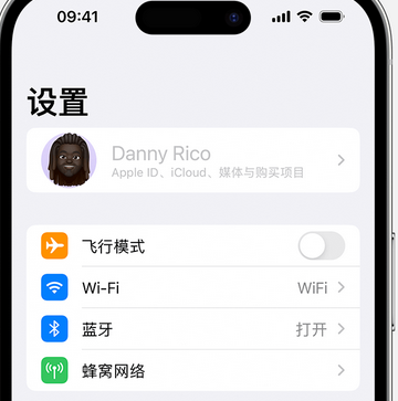 绥宁appleID维修服务iPhone设置中Apple ID显示为灰色无法使用 