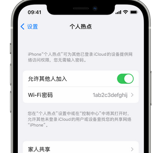 绥宁apple服务站点分享iPhone上个人热点丢失了怎么办