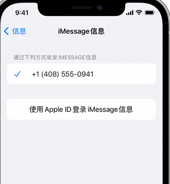 绥宁apple维修iPhone上无法正常发送iMessage信息 