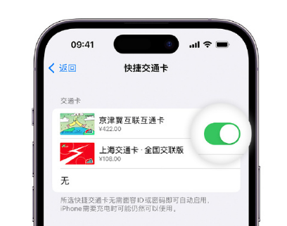 绥宁apple维修点分享iPhone上更换Apple Pay快捷交通卡手绘卡面 