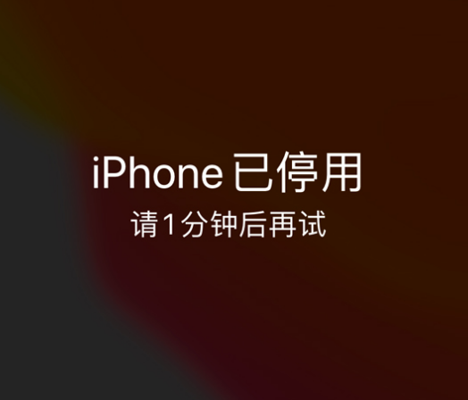 绥宁苹果手机维修分享:iPhone 显示“不可用”或“已停用”怎么办？还能保留数据吗？ 