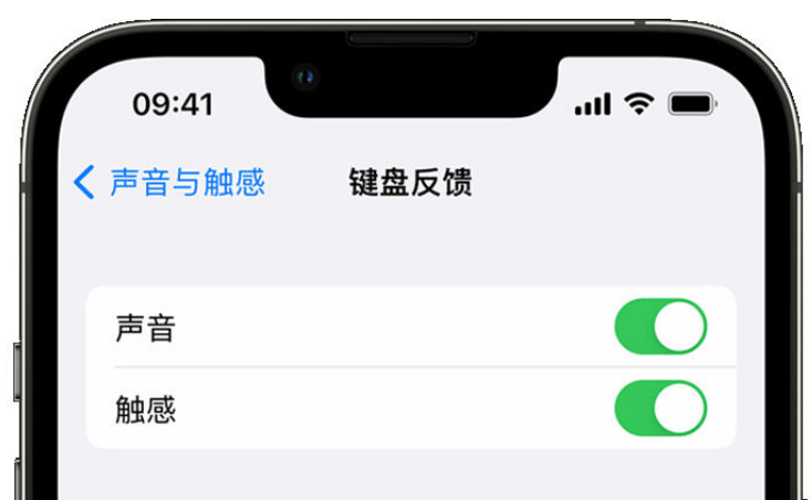 绥宁苹果手机维修分享iPhone 14触感键盘使用方法 