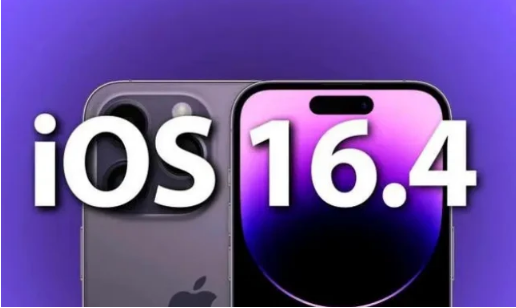 绥宁苹果14维修分享：iPhone14可以升级iOS16.4beta2吗？ 