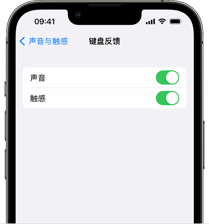 绥宁苹果14维修店分享如何在 iPhone 14 机型中使用触感键盘 