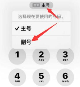 绥宁苹果14维修店分享iPhone 14 Pro Max使用副卡打电话的方法 