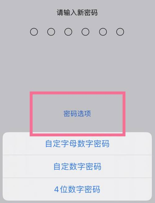 绥宁苹果14维修分享iPhone 14plus设置密码的方法 