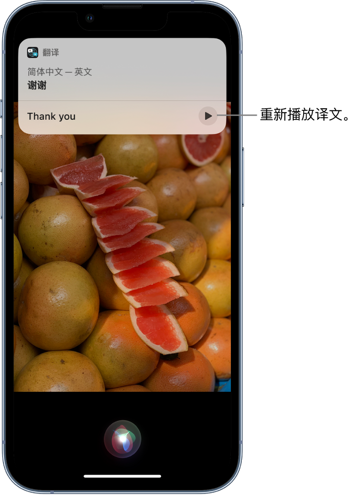 绥宁苹果14维修分享 iPhone 14 机型中使用 Siri：了解 Siri 能帮你做什么 