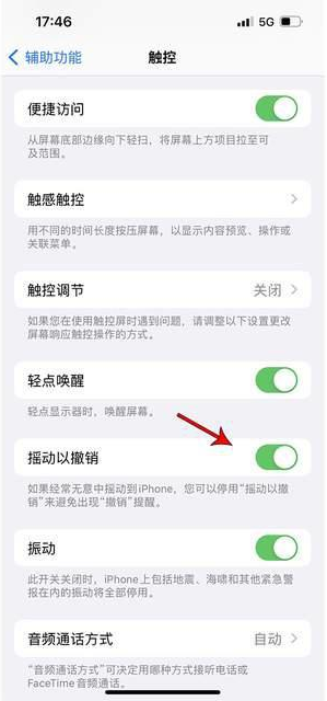 绥宁苹果手机维修分享iPhone手机如何设置摇一摇删除文字 