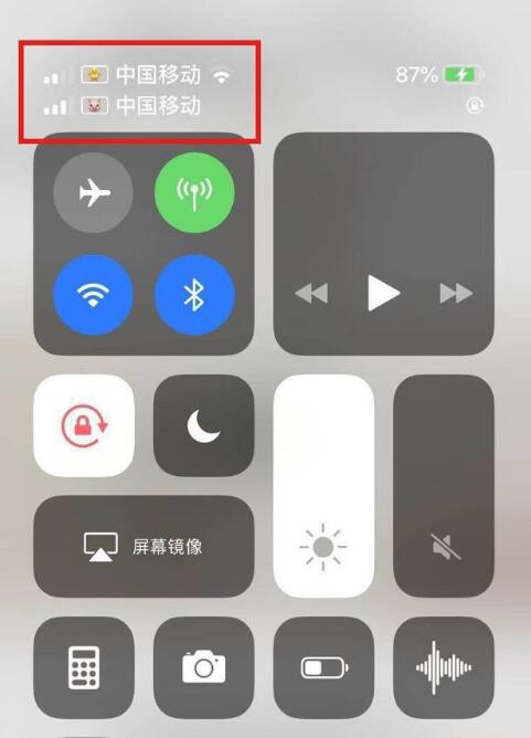 绥宁苹果手机维修分享为 iPhone 12 双卡设置标签 