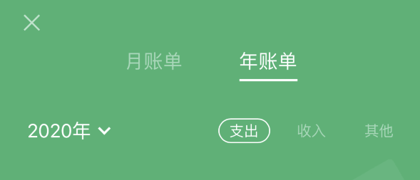 绥宁苹果手机维修分享如何在 iPhone 上查看支付宝和微信年支出账单 